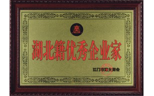 湖北籍优秀企业家